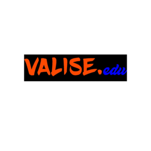 Valise